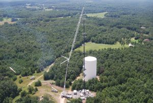 A Tree With A Mountain In The Background